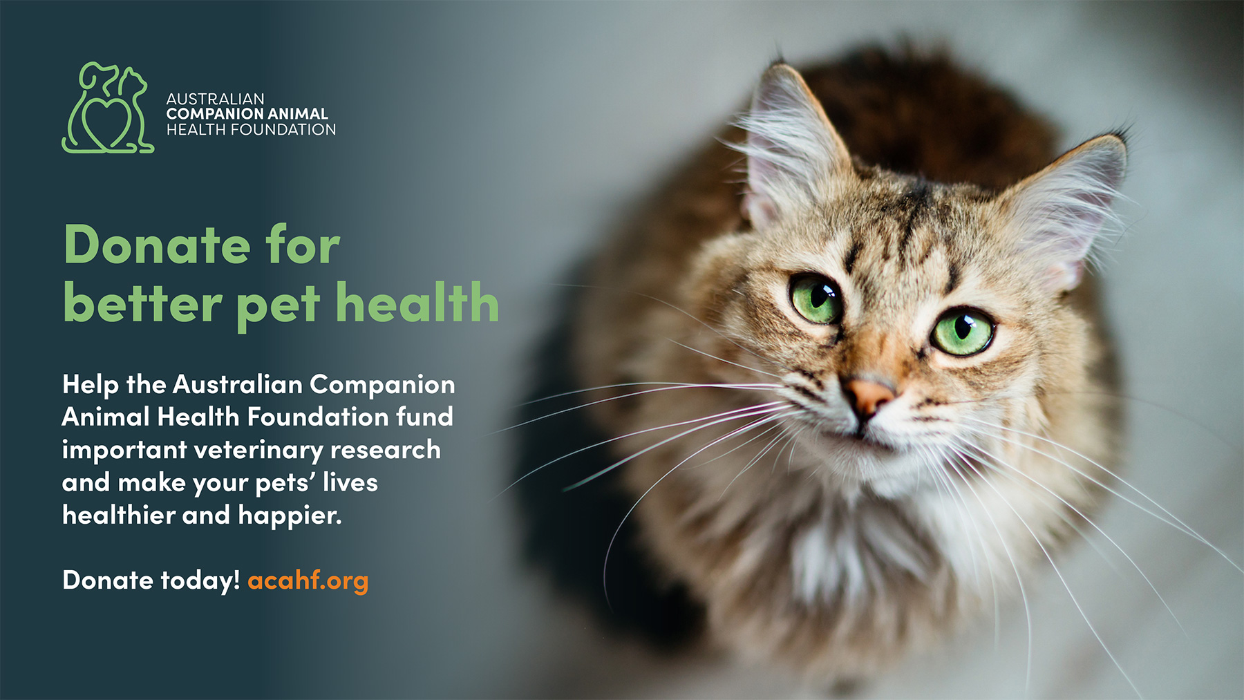 Downloads - Australian Companion Animal Health Foundation